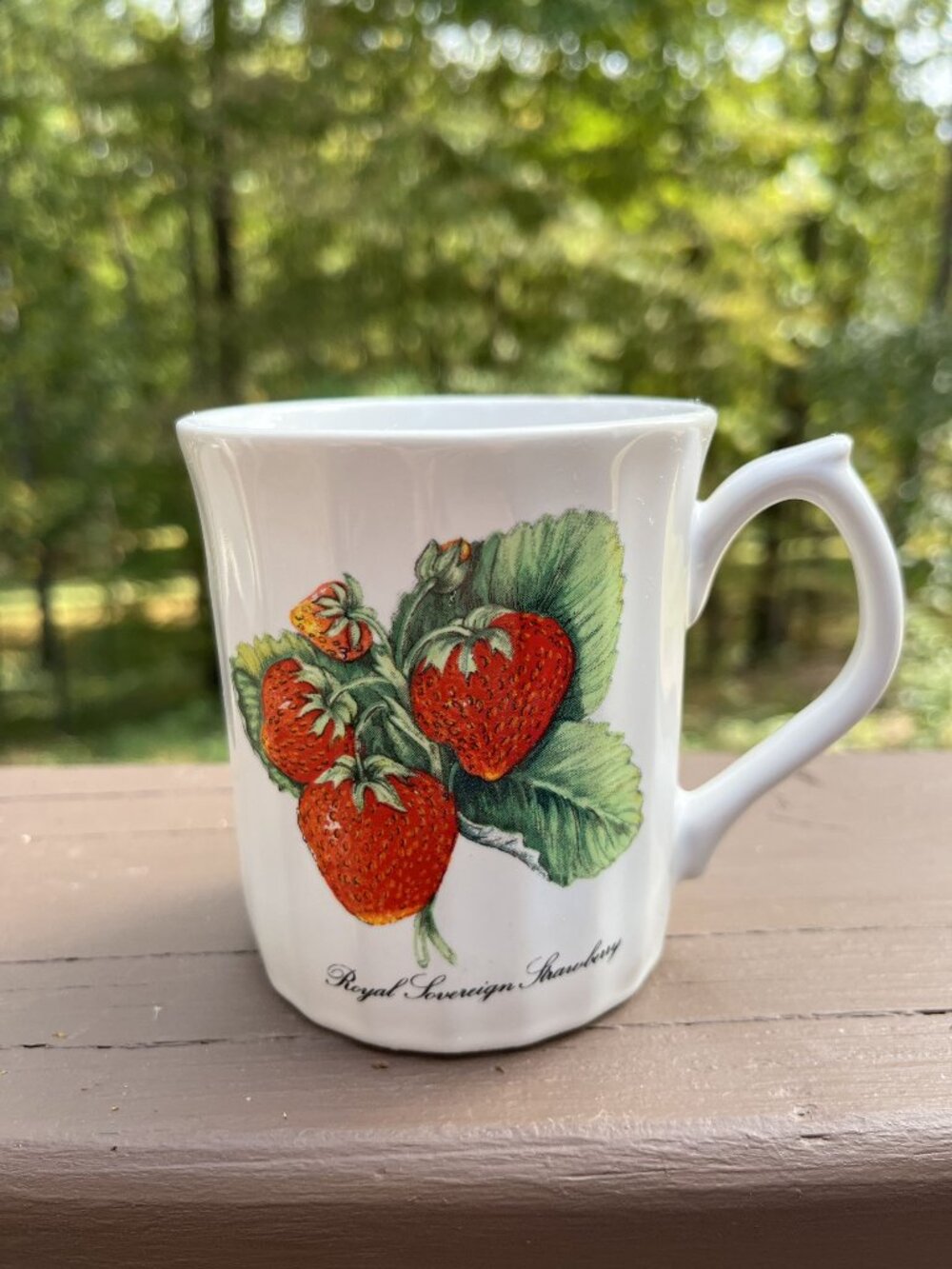 Royal Sovereign Strawberry Mug Bone China Floral Design Vintage Kitchenware
